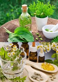 DIPLOMA IN HERBAL DRUG MANUFACTURING